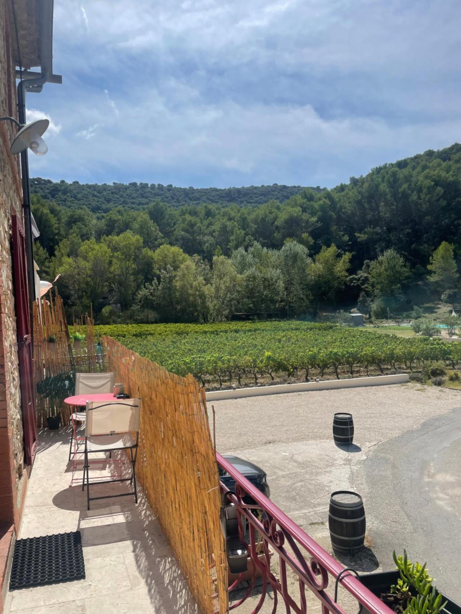 Appartement Au Calme Au Milieu Du Vignoble De Gigondas Exterior foto